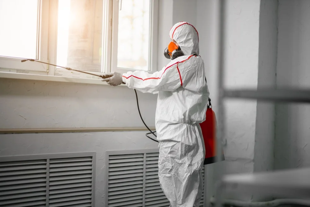 Professional mold remediation services in Sheridan, MT